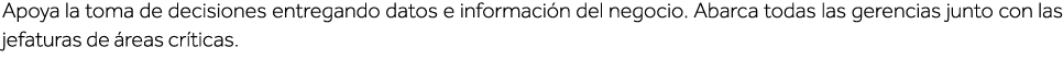 Apoya la toma de decisiones entregando datos e información del negocio  Abarca todas las gerencias junto con las jefa   