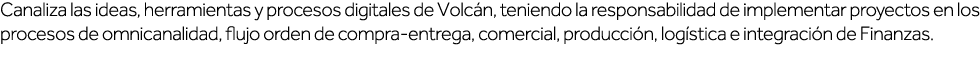 Canaliza las ideas, herramientas y procesos digitales de Volcán, teniendo la responsabilidad de implementar proyectos   