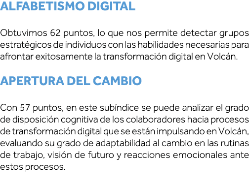 Alfabetismo Digital  Obtuvimos 62 puntos, lo que nos permite detectar grupos estratégicos de individuos con las habil   