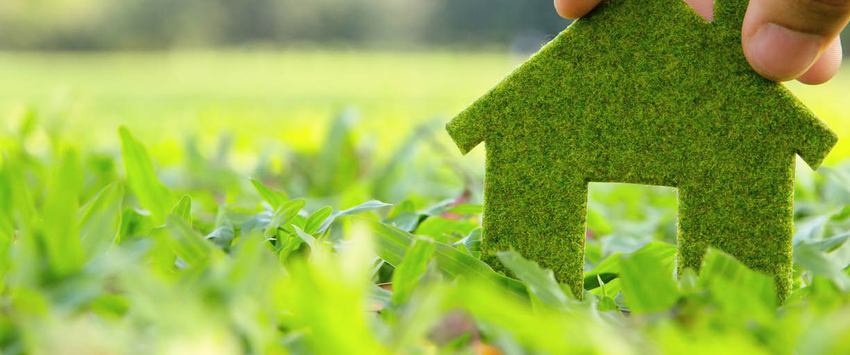 eco house icon concept