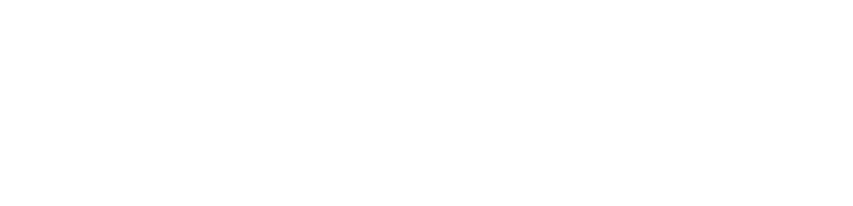 Cliente al centro   Optimizamos los tiempos de despacho con la incorporación de un nuevo software de carga, que nos p   