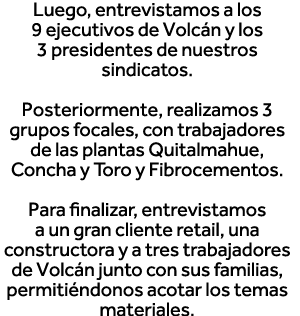 Luego, entrevistamos a los 9 ejecutivos de Volcán y los 3 presidentes de nuestros sindicatos   Posteriormente, realiz   