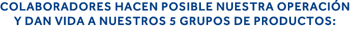 colaboradores hacen posible nuestra operación y dan vida a nuestros 5 grupos de productos: 