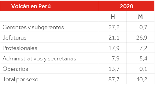 Volcán en Perú,2020,,H,M,Gerentes y subgerentes,27,2,0,7,Jefaturas,21,1,26,9,Profesionales,17,9,7,2,Administrativos y   