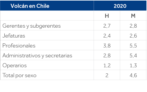 Volcán en Chile,2020,,H,M,Gerentes y subgerentes,2,7,2,8,Jefaturas,2,4,2,6,Profesionales,3,8,5,5,Administrativos y se   