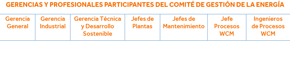 Gerencias y profesionales participantes del Comité de Gestión de la Energía   
