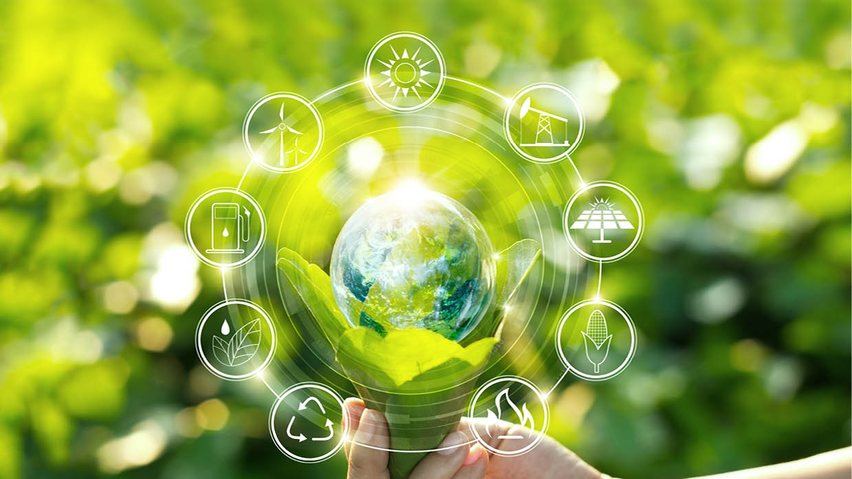 Hand holding light bulb against nature on green leaf with icons energy sources for renewable, sustainable development  Ecology concept  Elements of this image furnished by NASA 